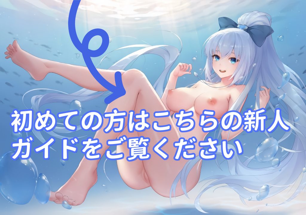 新手体験ガイド